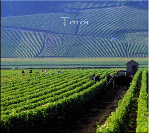 Domaine Gite de Croze